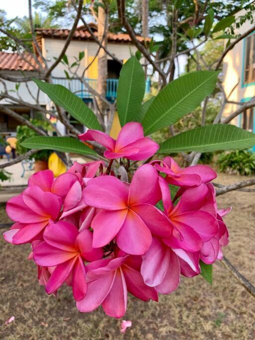 Casita Caribe En Reserva Natural, Playa Privada, Kayaks, Wifi, Aire Acondicionado San Onofre 외부 사진